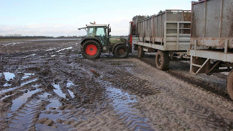 De volle kisten worden naar de wagen op het land gereden, de lege worden mee terug genomen naar de rooier.