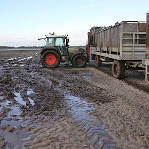 De volle kisten worden naar de wagen op het land gereden, de lege worden mee terug genomen naar de rooier.