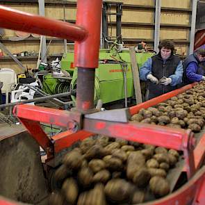 Marja van Beek, schoonzus Dianne van Beek en Ad van Stokkum halen onder meer de groene aardappelen en kluiten er uit.