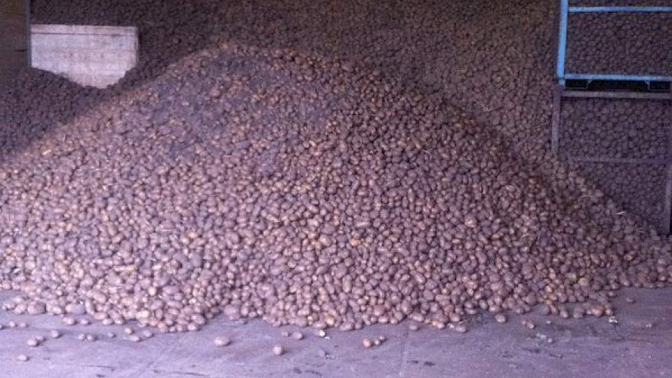 Siebring begon 10 februari met het laden van 1.200 ton zetmeelaardappelen. 'Ze zitten er mooi in zo te zien.' Het bouwplan van Siebring bestaat naast zetmeelaardappelen uit Parijse wortelen, spinazie en zomergerst.