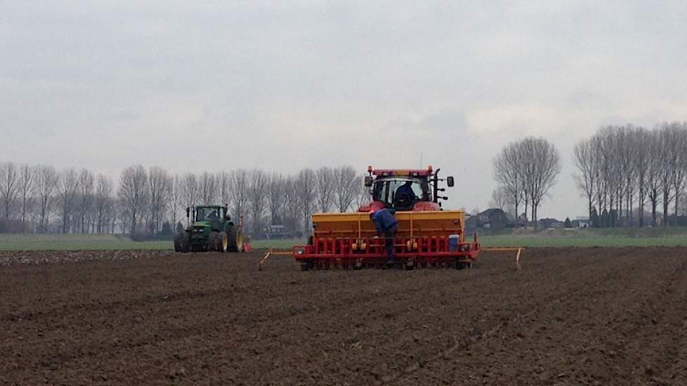 Ook in Zeeuws-Vlaanderen zijn vandaag op lichte grond plantuien geplant.