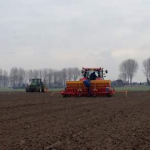 Ook in Zeeuws-Vlaanderen zijn vandaag op lichte grond plantuien geplant.