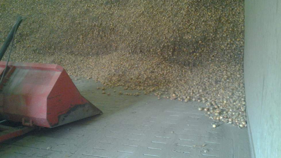 In deze cel lag 550 ton uien, afkomstig van 10 hectare.