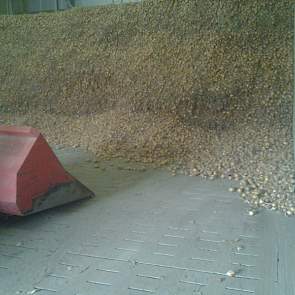 In deze cel lag 550 ton uien, afkomstig van 10 hectare.