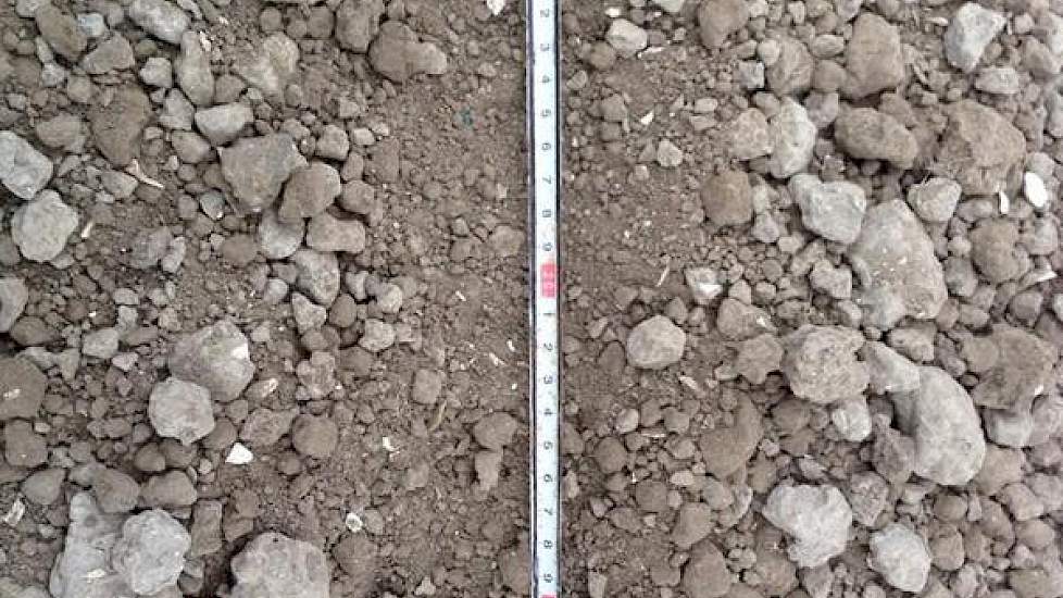 Robert Sleutel uit de Wieringermeer zaaide 18 maart zijn uien van het ras Centro: 10 tot 11 zaadjes per 40 cm. ‘Uien er in, regen er op.’