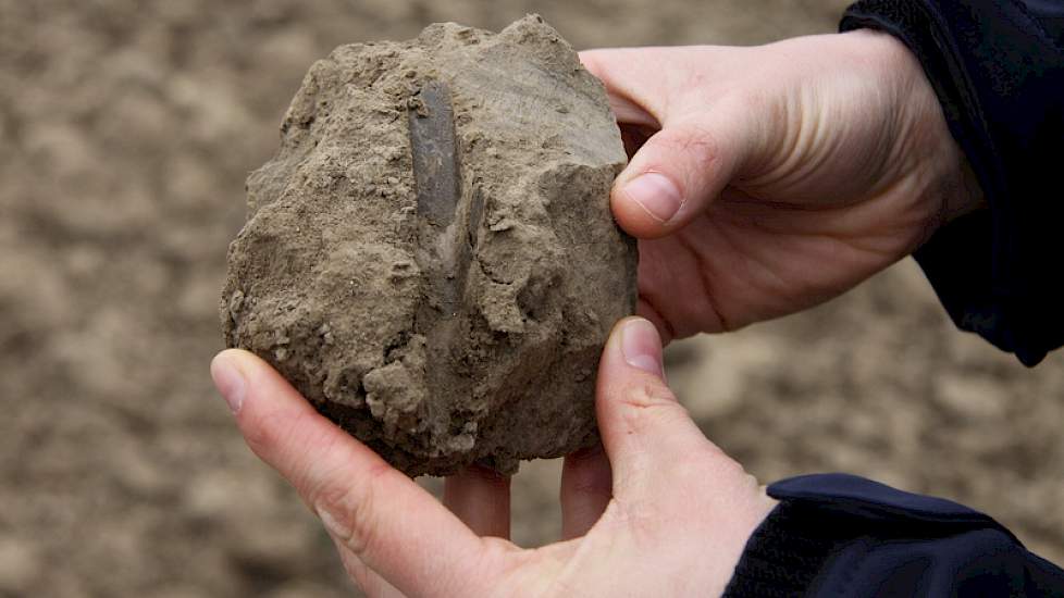 De kluiten zijn dit jaar met niets te vergelijken. De tanden van de rotorkopeg raken de kluiten wel, maar ze gaan niet kapot. Ze schieten zelfs gewoon weg. „Omdat het niet heeft gevroren is de onderlaag nog nat, en bovenlaag kei- en keihard op deze 7 hect