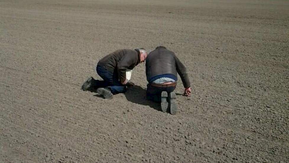 Taxateurs René van Dongen en Klaas Bouma leveren geen half werk: de beschadigde plantjes worden nauwgezet bekeken.