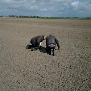 Taxateurs René van Dongen en Klaas Bouma leveren geen half werk: de beschadigde plantjes worden nauwgezet bekeken.