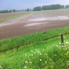 De bui is om de Hoeksche Waard heen getrokken, meldt Novifarm in Numansdorp. In Abbenbroek Voorne Putten is in 15 min 30 mm regen gevallen, in Fijnaart in West Brabant viel in 5 min 20 mm. ´Het westen van ons eiland heeft wel veel regen gehad. Twee percel