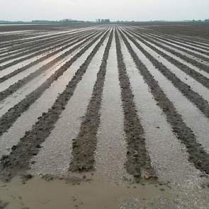 Een half uur later loopt de drainage al, voegt Van Bergeijk daar aan toe.