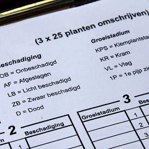 De bevindingen leggen ze vast op een formulier: hierop wordt het groeistadium van het plantje vermeld en de schade.