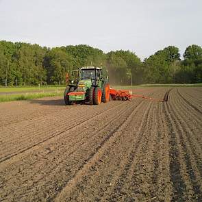 Volgens Agrifirm biedt soja mogelijkheden voor akkerbouwers, omdat het rendement vergelijkbaar is met zomertarwe of gerst.