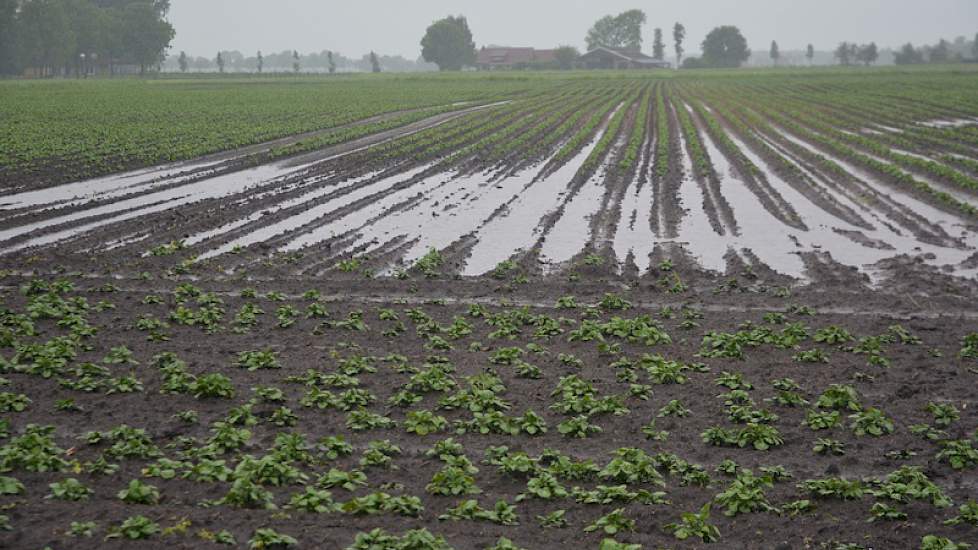 Bij Giethoorn is in korte tijd veel neerslag gevallen. Foto: Fenneke Wiepkema