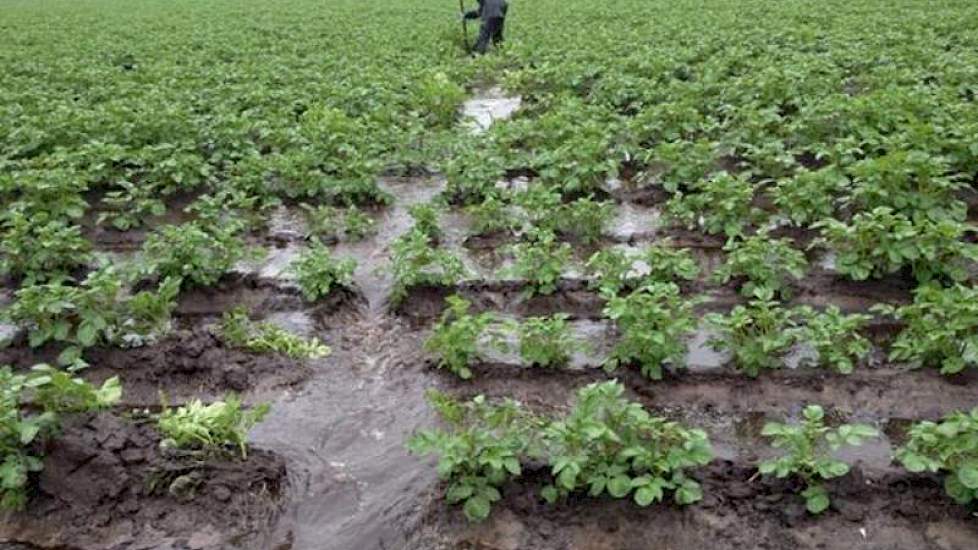 Akkerbouwer Jan Martijn Eggens uit Vroomshoop graaft greppels om het water van het aardappelland af te voeren. Het water stroomt van het land af. Foto: Eggens