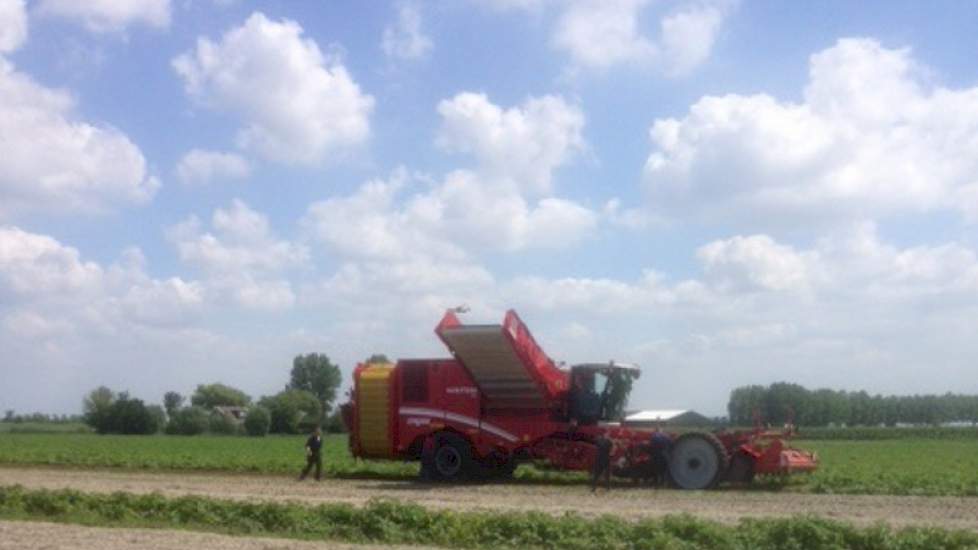's Middags om twee uur was het dan zover: de rooier kon aan de slag in een perceel aardappelen van het ras Frieslander. Op dit perceel was ook al met de kistenrooier gerooid.