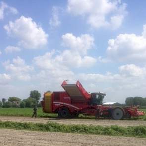 's Middags om twee uur was het dan zover: de rooier kon aan de slag in een perceel aardappelen van het ras Frieslander. Op dit perceel was ook al met de kistenrooier gerooid.