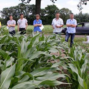 Bij het project 'maïs onder doek' is als doel gesteld 80 ton per ha te gaan telen. Dit doel moet binnen 2 seizoenen worden gerealiseerd, vertelt Ron Cox (rechts) van Agrotechnics Nederland.