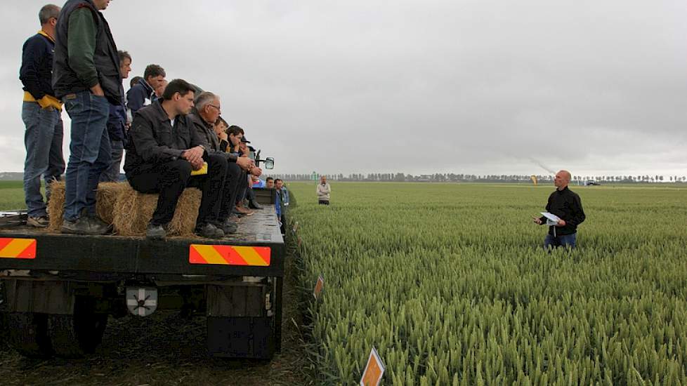 In de tarwe is een groeiregulatieproef aangelegd, voor een regelmatige afrijping van het gewas. Op het onbehandelde perceel staat een gezond, maar hoog gewas. De percelen waarop groeiregulatiemiddelen zijn toegepast, vertonen een verkorte aar en een beter