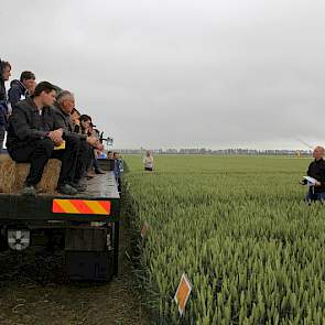 In de tarwe is een groeiregulatieproef aangelegd, voor een regelmatige afrijping van het gewas. Op het onbehandelde perceel staat een gezond, maar hoog gewas. De percelen waarop groeiregulatiemiddelen zijn toegepast, vertonen een verkorte aar en een beter