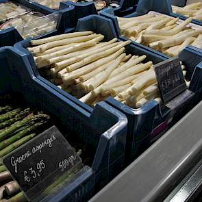 Martens Asperges is  gespecialiseerd in het telen van verschillende soorten rassen witte en groene asperges. Van deze teelt is ongeveer 70% witte en 30% groene asperges.