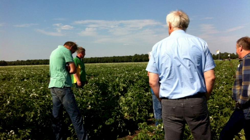 Belangstellenden bekijken het vervolgonderzoek kalibemesting in aardappelen. Onderzoek in 2012 en 2013 liet zien dat kali-adviezen op basis van K-getal niet de optimale zetmeelopbrengst gaf. Monitoring en bijbemesten in het seizoen leverden in deze jaren