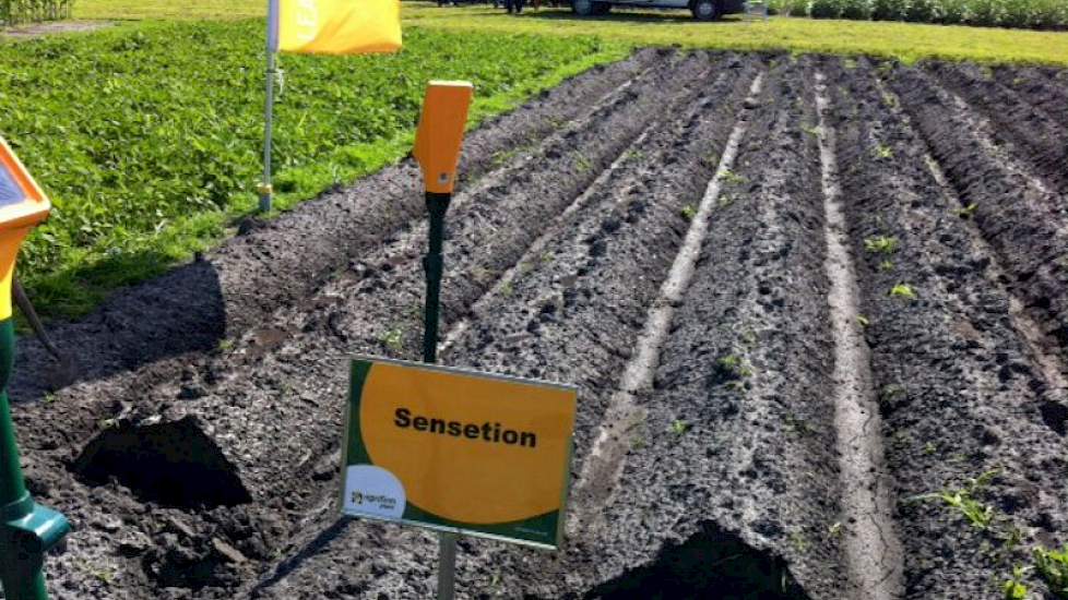 De Sensetion van DACOM is een sensorsysteem dat aan akkerbouwers precies aangeeft wanneer een perceel moeten worden beregend.