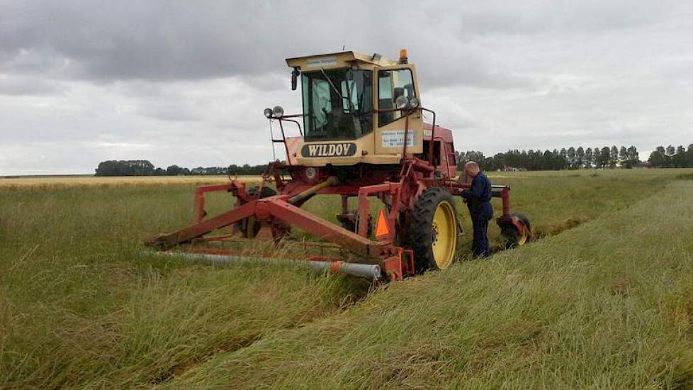 Het perceel Italiaanse raaigras was woensdag al gezwadmaaid door Loonbedrijf Doornbos uit Overschild.