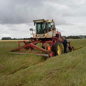 Het perceel Italiaanse raaigras was woensdag al gezwadmaaid door Loonbedrijf Doornbos uit Overschild.