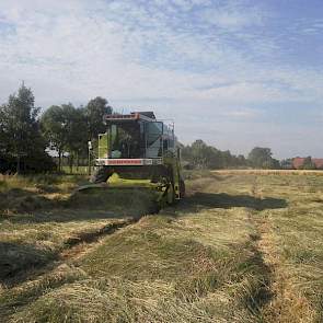 Cor Biemond durft nog geen uitspraken over de opbrengstverwachting te doen, maar het gewas is beter uitgestoeld dan vorig jaar, zegt hij.