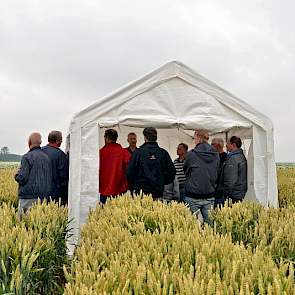 Derk van Balen, onderzoeker bedrijfssystemen van Praktijkonderzoek Plant & Omgeving van Wageningen UR, betoogde over het effect van de toepassing van bodemverbeteraars bij suikerbieten, winterpeen, wintertarwe, zetmeelaardappelen en maïs.
