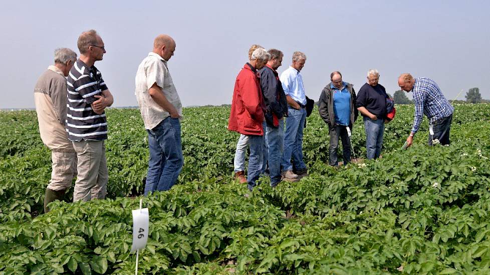 Anne Bouma, vakspecialist van de NAK, toont de aardappelvelden voor selectiecursussen voor cursisten en keurmeesters. Ook het demoveld met naast elkaar gezonde en zieke aardappelrassen werd bekeken.