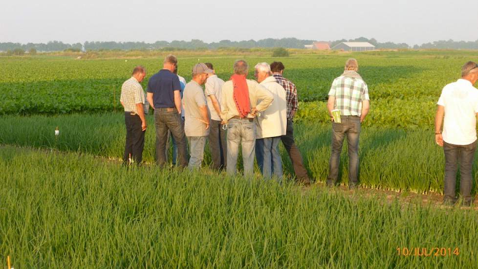 Belangstellenden kijken welke uitwerking compost heeft op uien ten opzichte van reguliere bemesting. Ook waren er proeven van het stuifvrij maken met cellulose te zien.