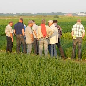 Belangstellenden kijken welke uitwerking compost heeft op uien ten opzichte van reguliere bemesting. Ook waren er proeven van het stuifvrij maken met cellulose te zien.