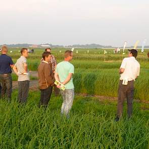 Innoseeds demonstreerde diverse groenbemesters.