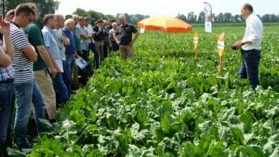 KWS Benelux en SESvanderHAVE gaven een toelichting in hun demoveld en bespraken de urgentie van voldoende beschikbaarheid van rhizoctonia resistente bietenrassen.