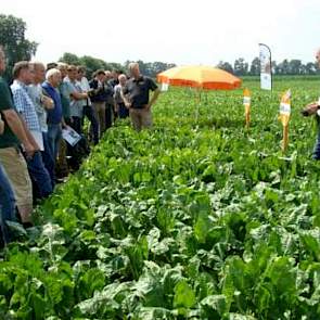 KWS Benelux en SESvanderHAVE gaven een toelichting in hun demoveld en bespraken de urgentie van voldoende beschikbaarheid van rhizoctonia resistente bietenrassen.