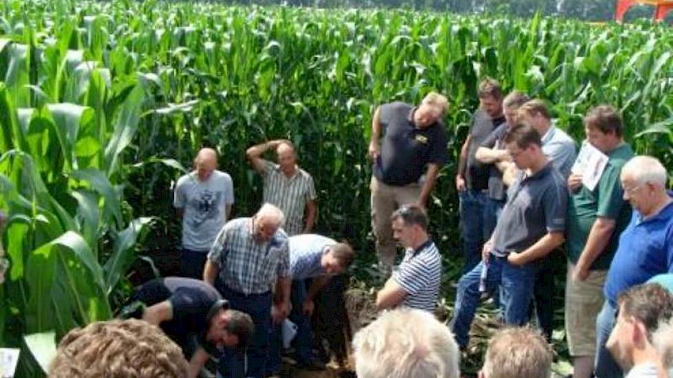 De bezoekers werden letterlijk mee in de bodem genomen. In de maïs was een grote profielkuil gegraven waar duidelijk de wortels van de maïs en de depots van de rijentoepassing mest te zien waren.