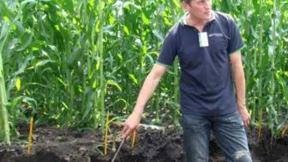 De zandgronden in Zuidoost Nederland hebben vaak een dun profiel van 40 tot 60 cm. De bewortelbare diepte is daarmee beperkt en de kans op verliezen groot.