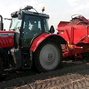 Toch is De Jong niet ontevreden. Hij schat de opbrengst rond de 35 ton. En dat is gezien het seizoen niet slecht, zegt hij. ‘En Kondor is geen topper qua opbrengst.’