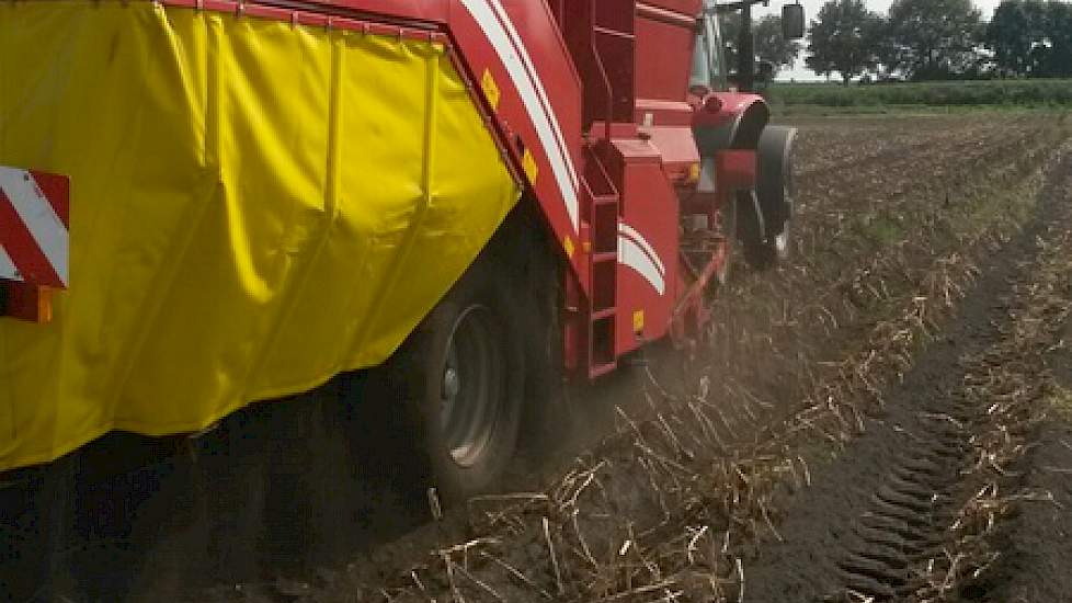 Samen met zijn vader rooit hij de aardappelen. Het rooien gaat mooi en schiet lekker op, zegt De Jong. De aardappelen komen redelijk schoon uit de grond.