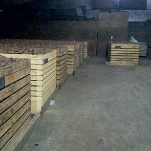 In september of oktober worden de aardappelen gesorteerd. Begin november worden ze opgezakt en gaan ze voor export naar Algerije.