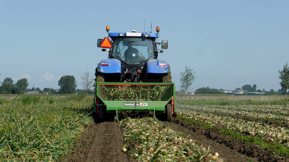 Het rooien gaat prima. ‘Er is afgelopen weekend nog 7 mm regen gevallen waardoor het een goed rooibaar product is’, aldus Bouman.