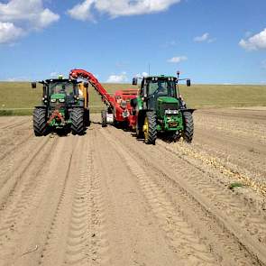 Het was langs de Waddenkust lange tijd aan de droge kant, zegt Roebroek. Maar problemen zijn er daardoor niet geweest. ‘Deze aardappelen stonden op lichte grond, de zware stukken zitten er nog in.’