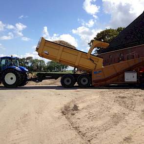 De opbrengsten zijn vooralsnog redelijk: 35 tot 40 ton per hectare. ‘Het is allemaal een beetje laag, maar je kunt ook niet altijd de hoofdprijs hebben. Naar omstandigheden ben ik tevreden’, aldus Roebroek.