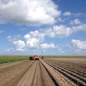 Overlast door phytophthora was er vooral in het begin van de zomer. ‘We hebben vooral in de eerste periode aantastingen gehad, toen was het ook natter. Later werd dat beter.’