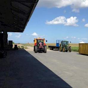 Opnieuw een volle kieper die naar de boerderij wordt gereden. Het rooien en het inschuren verliep volgens de bedrijfsleider vlot.
