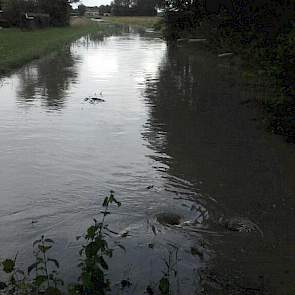 Maar het water kan nergens heen, omdat de sloten al vol staan.