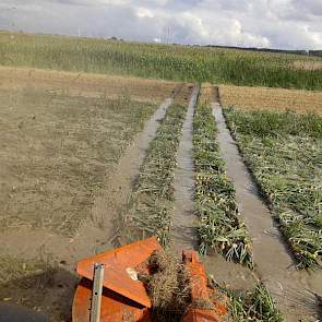 Het is een drama hier, laat akkerbouwer Schaap uit Assendelft weten. De uien staan in het water.