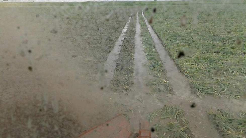 Hij heeft geulen gegraven om het water weg te laten lopen...