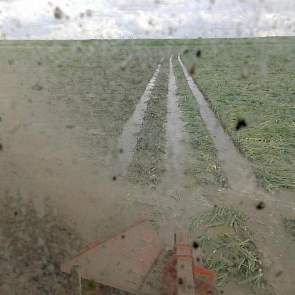 Hij heeft geulen gegraven om het water weg te laten lopen...